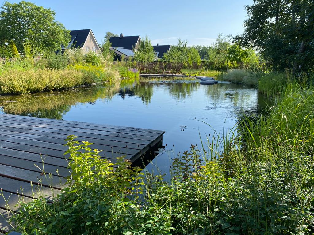 Zwemvijver aanleg Klarenbeek Vos