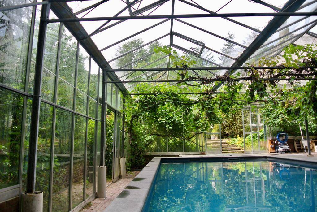 Overdekt-zwembad-in-kas-in-Hattem