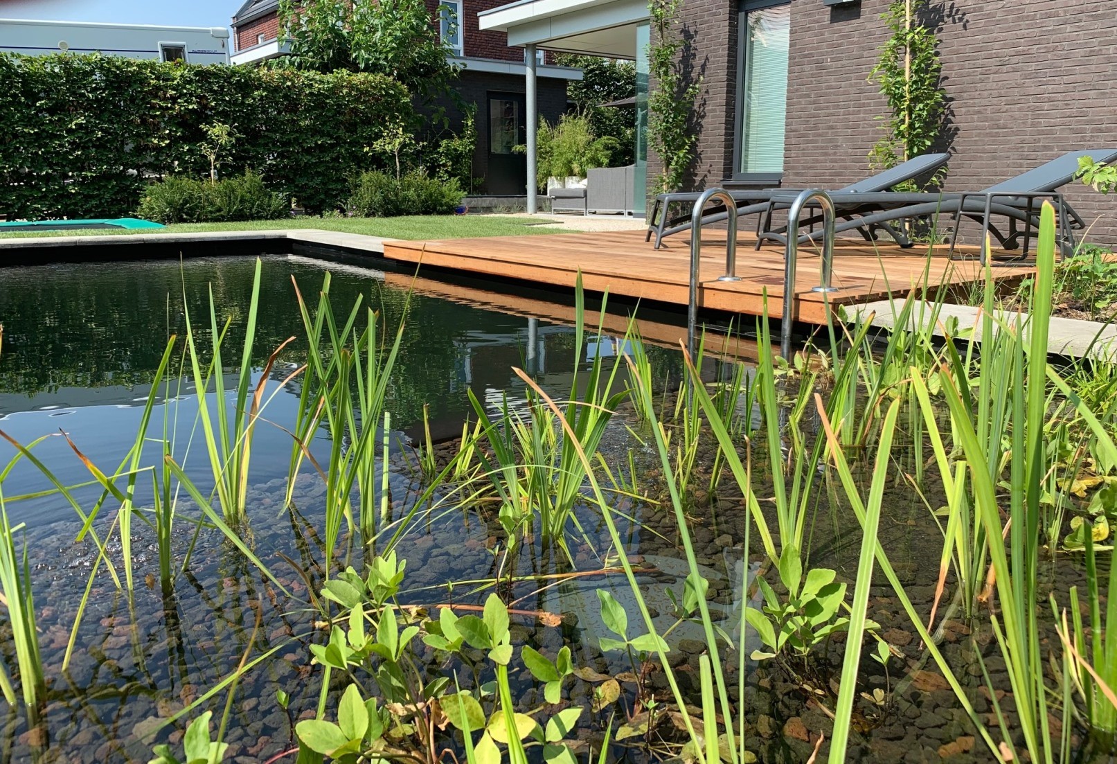 Zwemvijver Hattem door Vos Tuinvisie