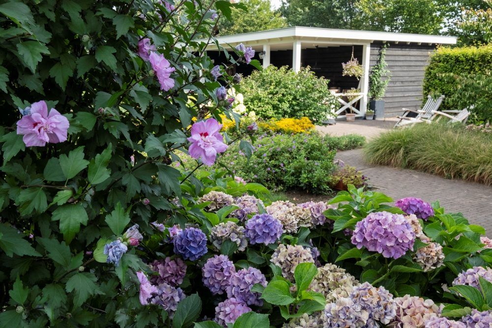 Ontwerp-en-aanleg-landelijke-tuin-in-Epe-11-e1534930000648