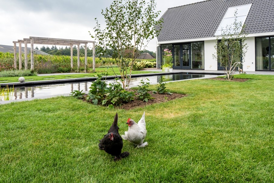 Landelijke tuin met zwemvijver en overkapping in Diepenveen 5