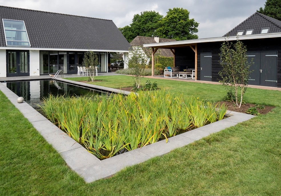 Landelijke tuin met zwemvijver en overkapping in Diepenveen 9