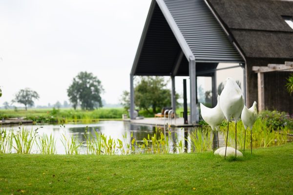 Natuurlijke zwemvijver Nijbroek 10 Natuurlijke zwemvijver Nijbroek 10