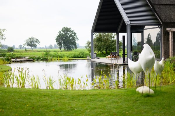 Natuurlijke zwemvijver Nijbroek 9