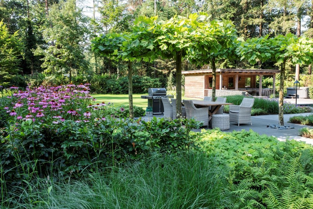 Ontwerp-en-aanleg-bostuin-in-Epe-6-e1534929966405