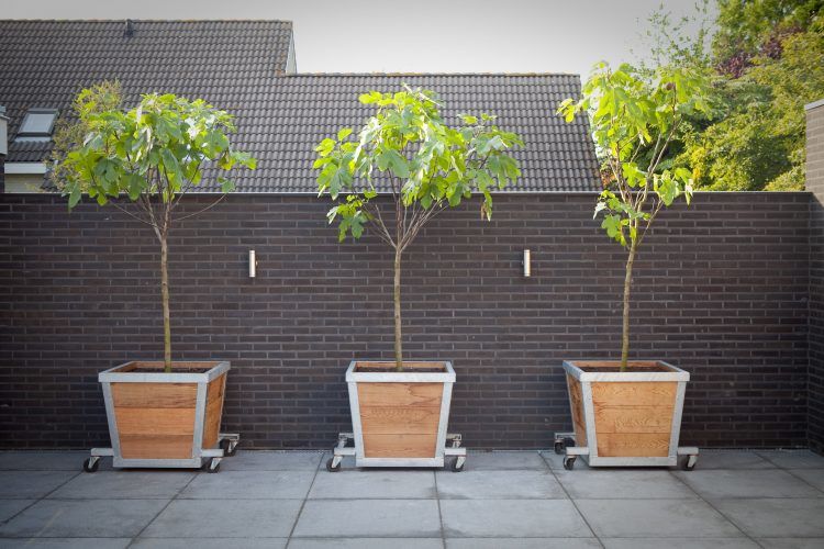 Verrijdbare-bloembakken-voor-diverse-opstellingen-in-je-tuin-e1538064389124