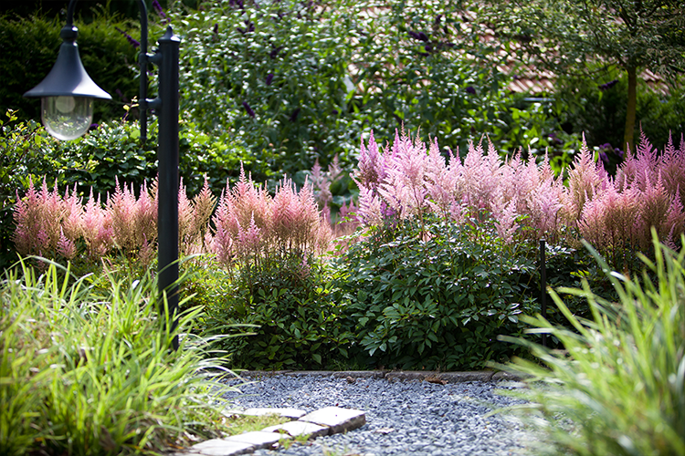 vos tuinvisie landelijke tuin