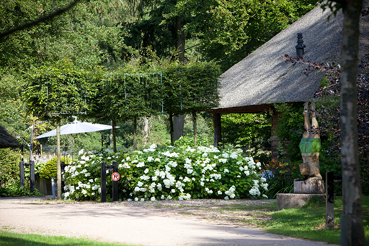 image-vos-tuinvisie-Landelijke-tuin-Vaassen2