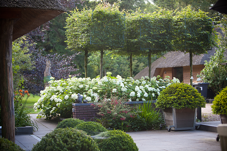 vos tuinvisie landelijke tuin