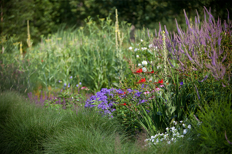 image-vos-tuinvisie-Landelijke-tuin-bloemenborder-Vaassen