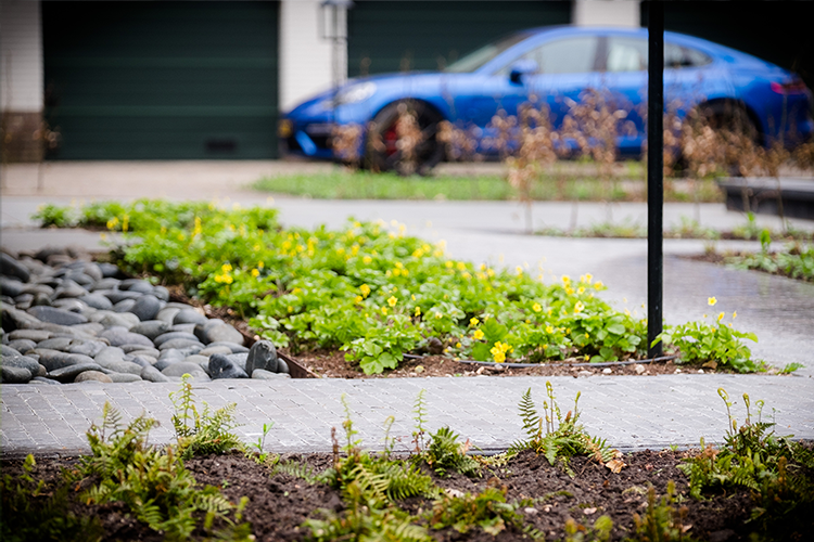 image-vos-tuinvisie-bostuin-epe6