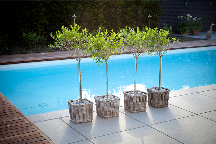 image-vos-tuinvisie-tuin-zwembad-zeewolde4