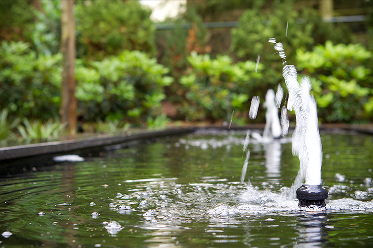 image-vos-tuinvisie-vijveraanleg-epe1