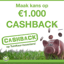 Cashback Actie 2018