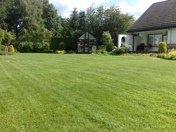 Gazon onderhoud Gazon onderhoud