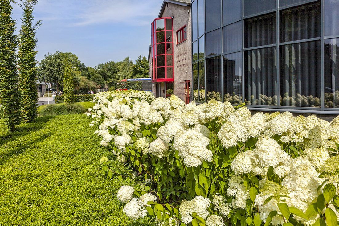 Bedrijfstuinen-aan-laten-leggen-e1537966712495