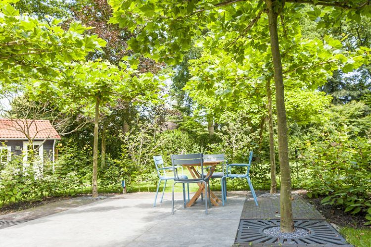 Bostuin-aangelegd-door-de-Hoveniers-van-Vos-Tuinvisie-e1537966553892