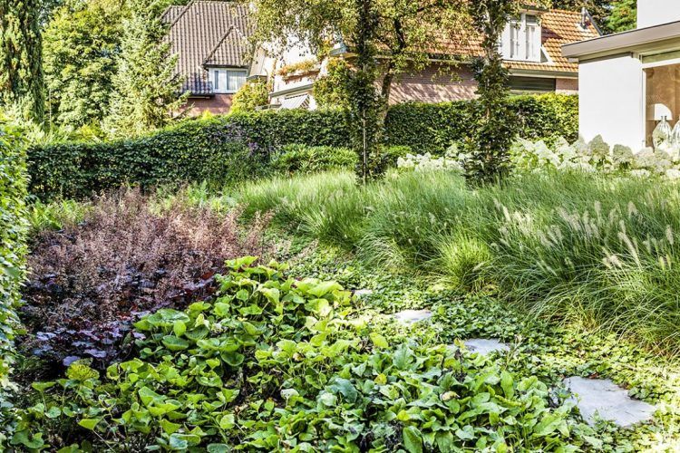 Bostuin-aangelegd-in-Epe-door-Vos-Tuinvisie-e1537966571300