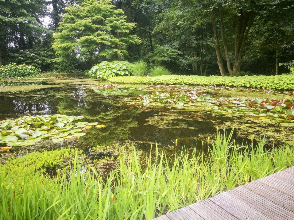 Bostuin in Epe door de hoveniers van Vos Tuinvisie