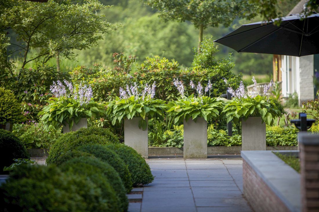 Landelijke-tuin-aan-laten-leggen-in-Vaassen-door-Vos-Tuinvisie-hoveniers-e1538063368135