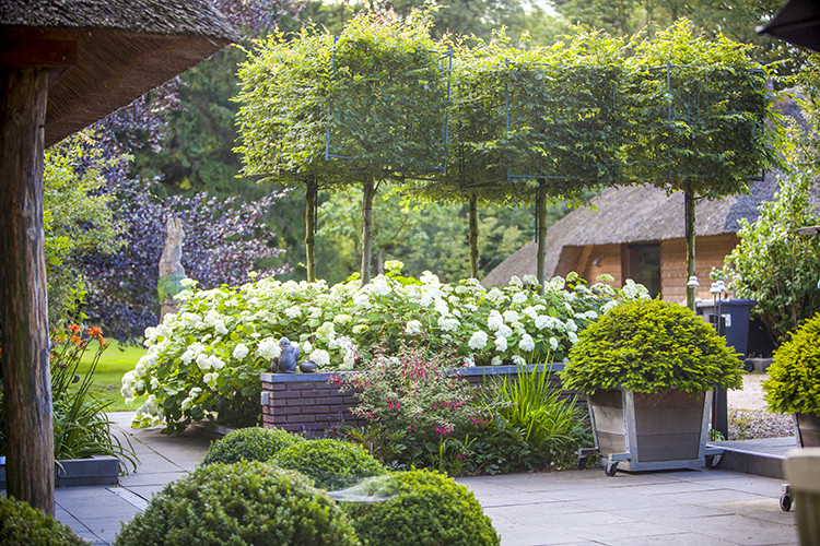 Landelijke tuin aanleg in Vaassen