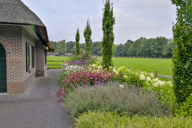 Landelijke tuin laten aanleggen door Vos Tuinvisie