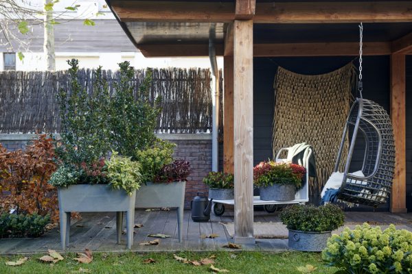 Styling Elize Eveleens – Klimprodukties