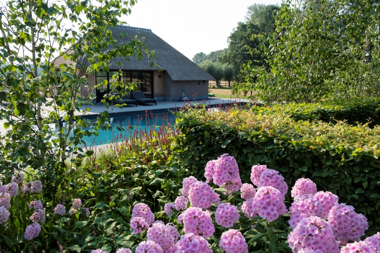 Landelijke tuin aanleg Zwolle