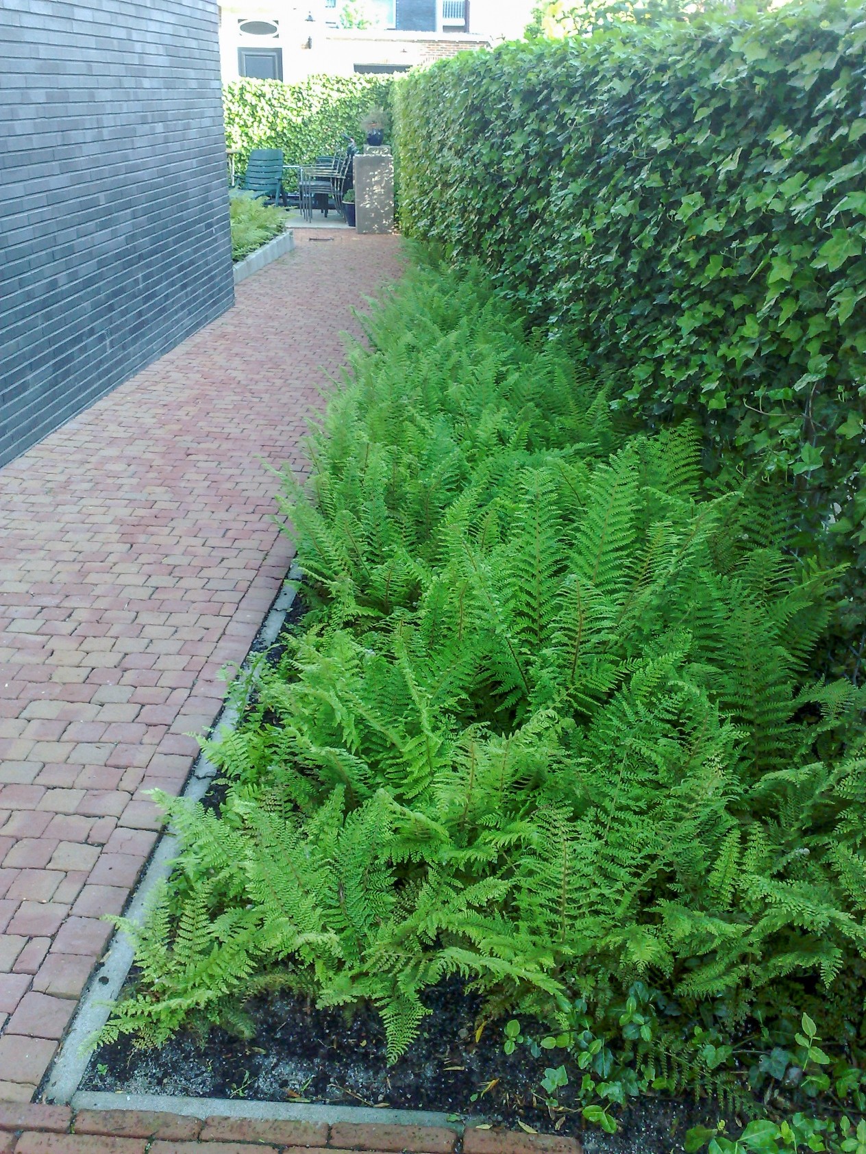 Tuin aanleg Zeewolde