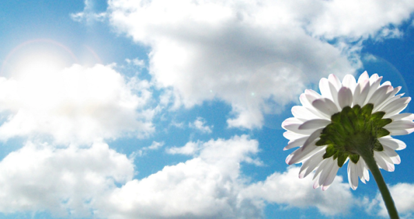 voorjaar_in_de_lucht-kopie