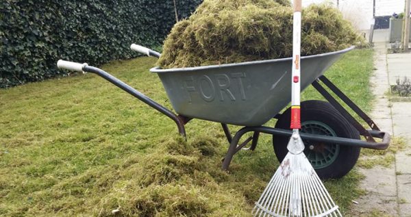 verticuteren_tuintips_april