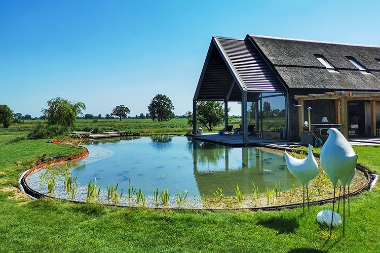 Natuurlijk zwemvijver aanleggen in Nijbroek Vos Tuinvisie