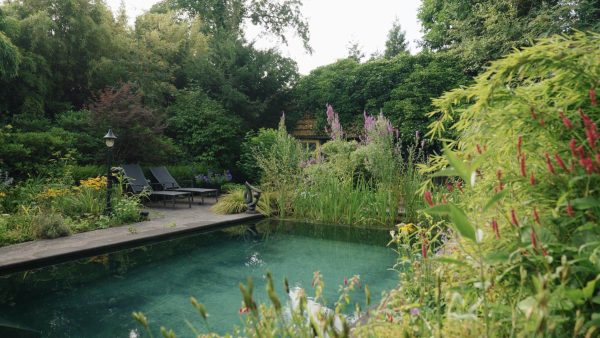 Van zwembad naar zwemvijver in de tuin in Hulshorst
