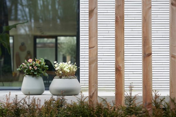 trendcollectie_herfst_2020_helleboris_b_low-scaled trendcollectie_herfst_2020_helleboris_b_low-scaled