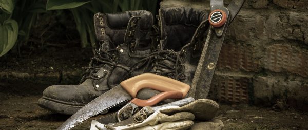 header_snoeien.jpg header_snoeien.jpg