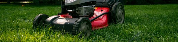 header_tuinonderhoud header_tuinonderhoud