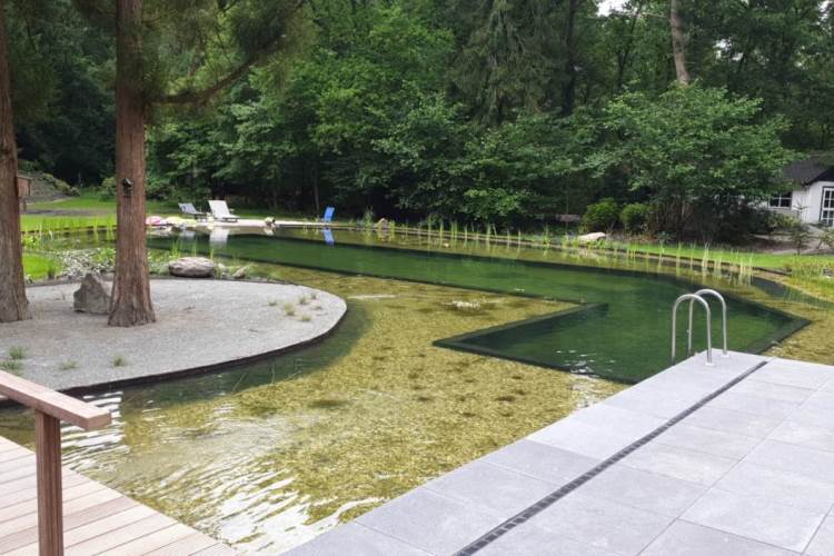 Zwemvijver met zandstrand in Epe Vos Tuinvisie