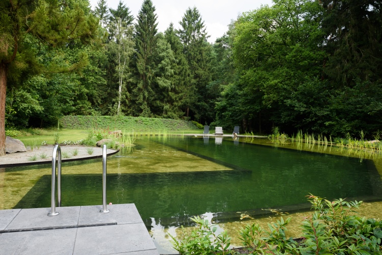 Zwemvijver met zandstrand in epe vos tuinvisie