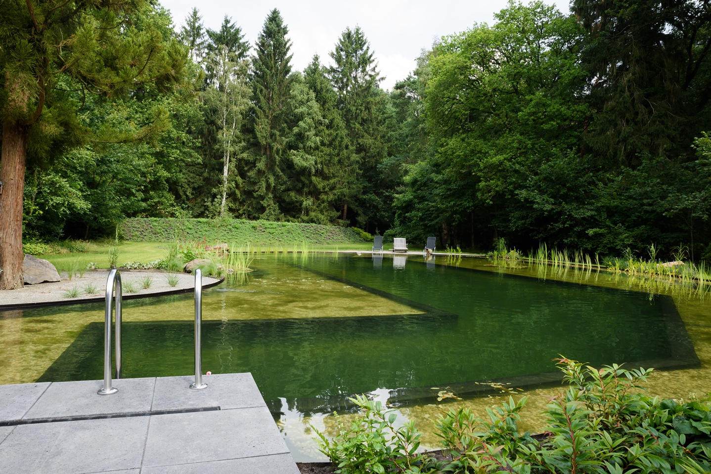 Zwemvijver met zandstrand in epe vos tuinvisie epe