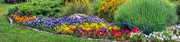 bloemenheadermei.jpg bloemenheadermei.jpg