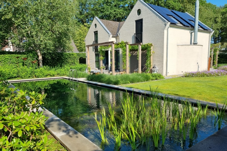 Diepenveen aanleg zwemvijver Vos Tuinvisie