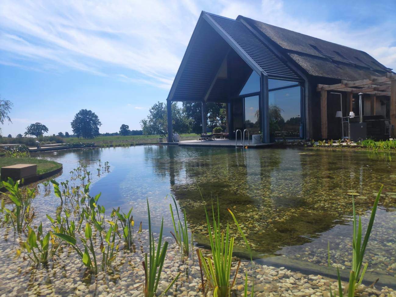 vos-zwemvijvers-ontwerp