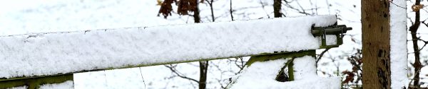 Tuintips_januari-Header-winterweer-kan-zorgen-voor-gladde-omstandigheden