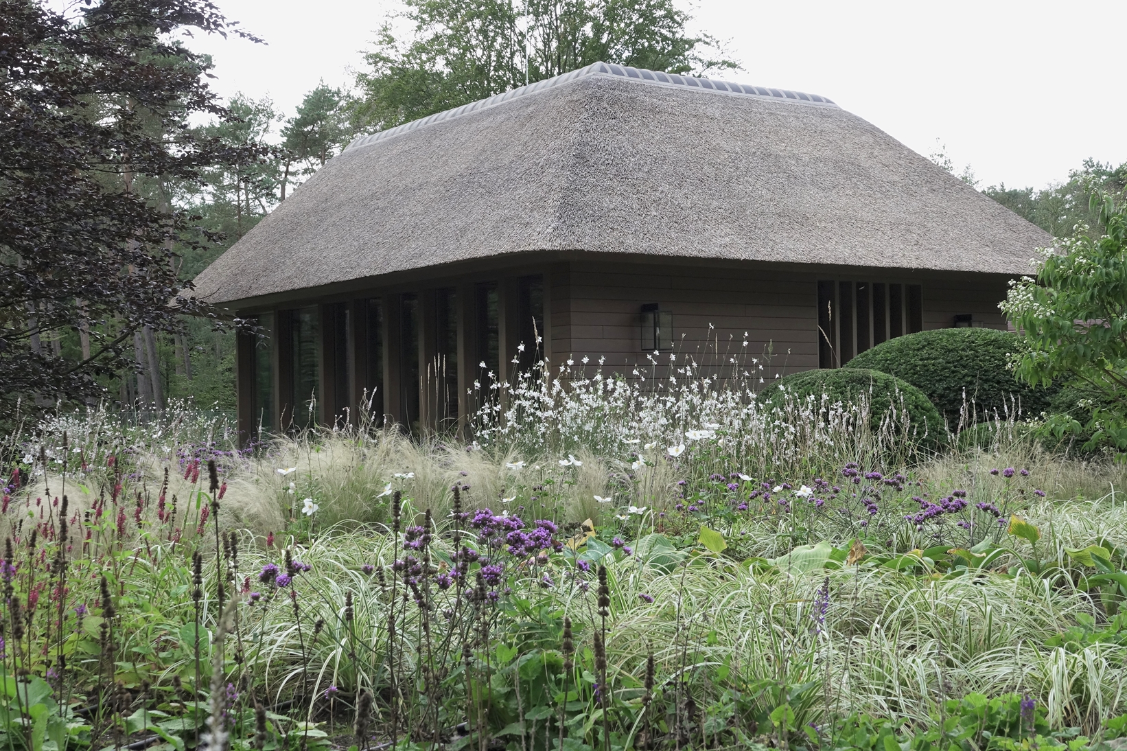 Aanleg exclusieve tuin op de Veluwe