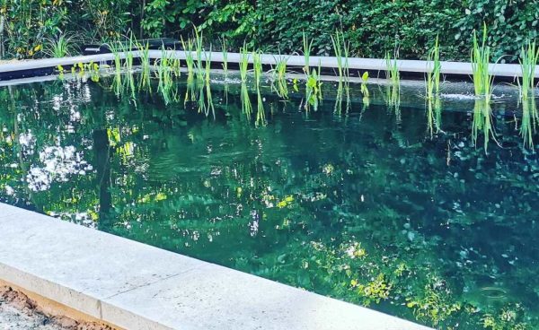 Aanleg zwemvijver Epe