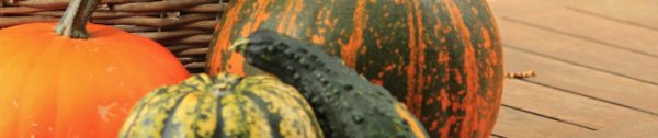 Weetjes_september-Header_pompoenen-en-kalebassen
