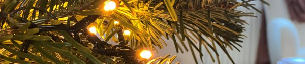 Planten_december-Header-kerstboom-in-de-tuin