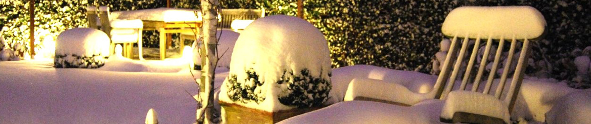 Tuintips_december-Header_tuinverlichting-zorgt-voor-warme-sfeer
