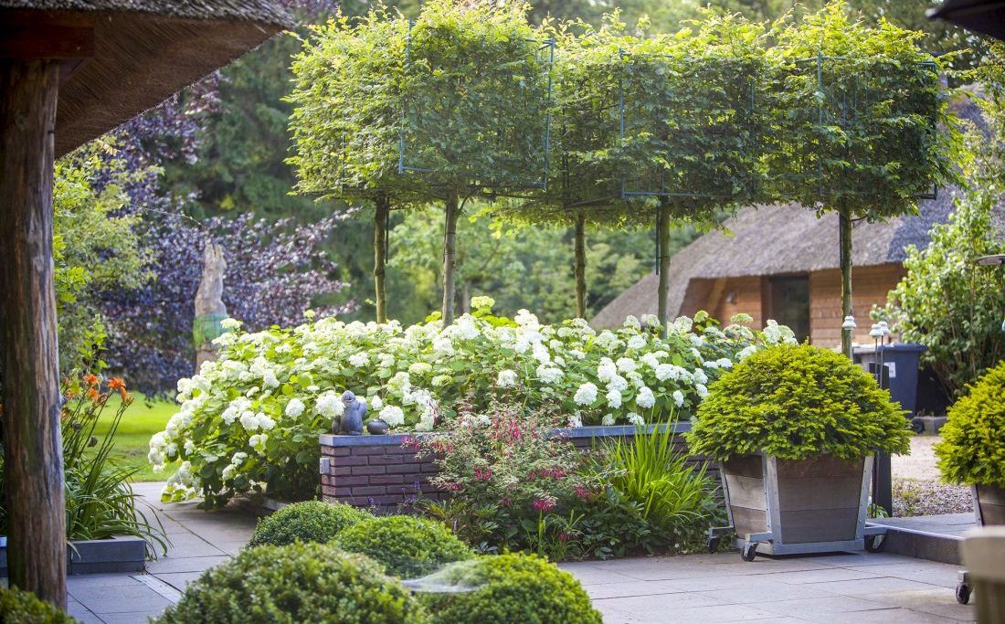 Beplantingsplan Vos Tuinvisie