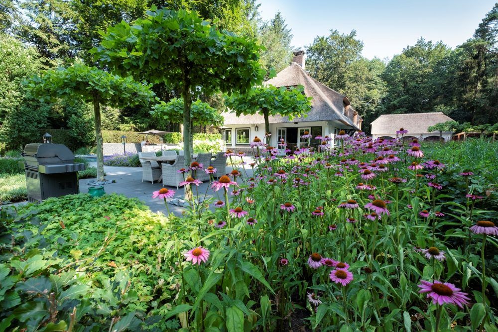 Beplantingsplan klaar de tuinaanleg kan beginnen